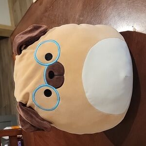 (J3) Daryl the dog with glasses Squishmallow